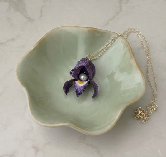 Queen Iris Pearl Heirloom